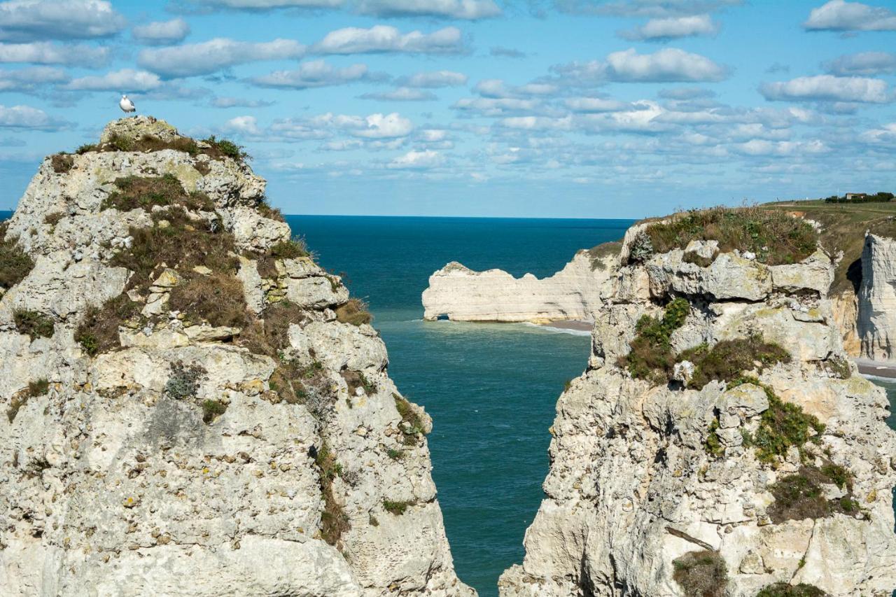 Les Charmes Du Bosquet Parc D'Amour Et Nature Parking Prive Securise Этрета Экстерьер фото